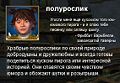 Миниатюра для версии от 13:37, 11 июня 2008