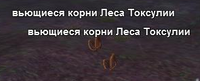Вьющиеся корни Леса Токсулии.png